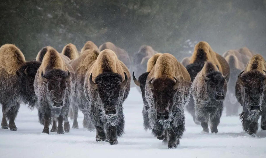 湖南私家侦探调查公司轮播图5